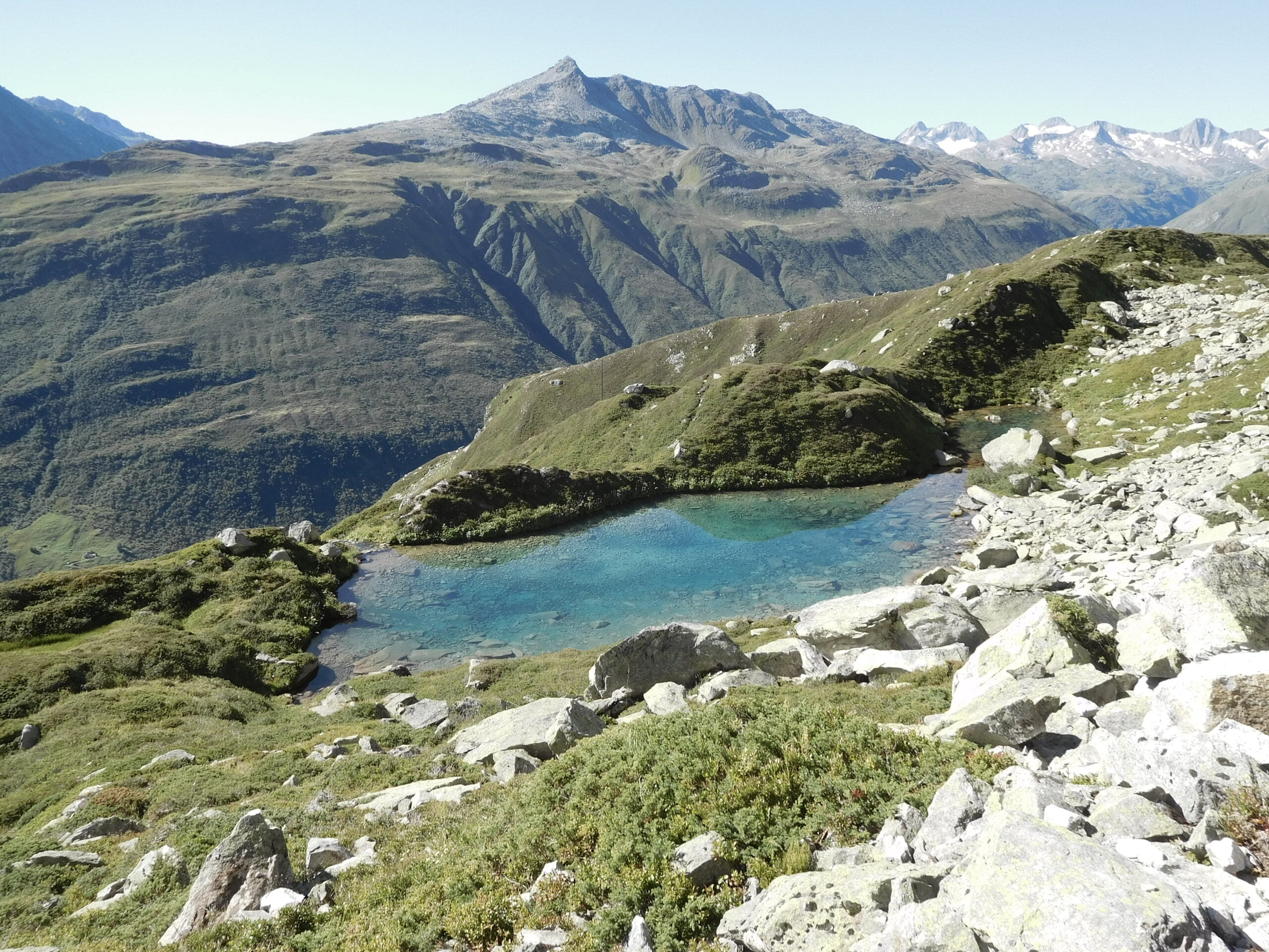 Het verscholen kleine blauwe meertje