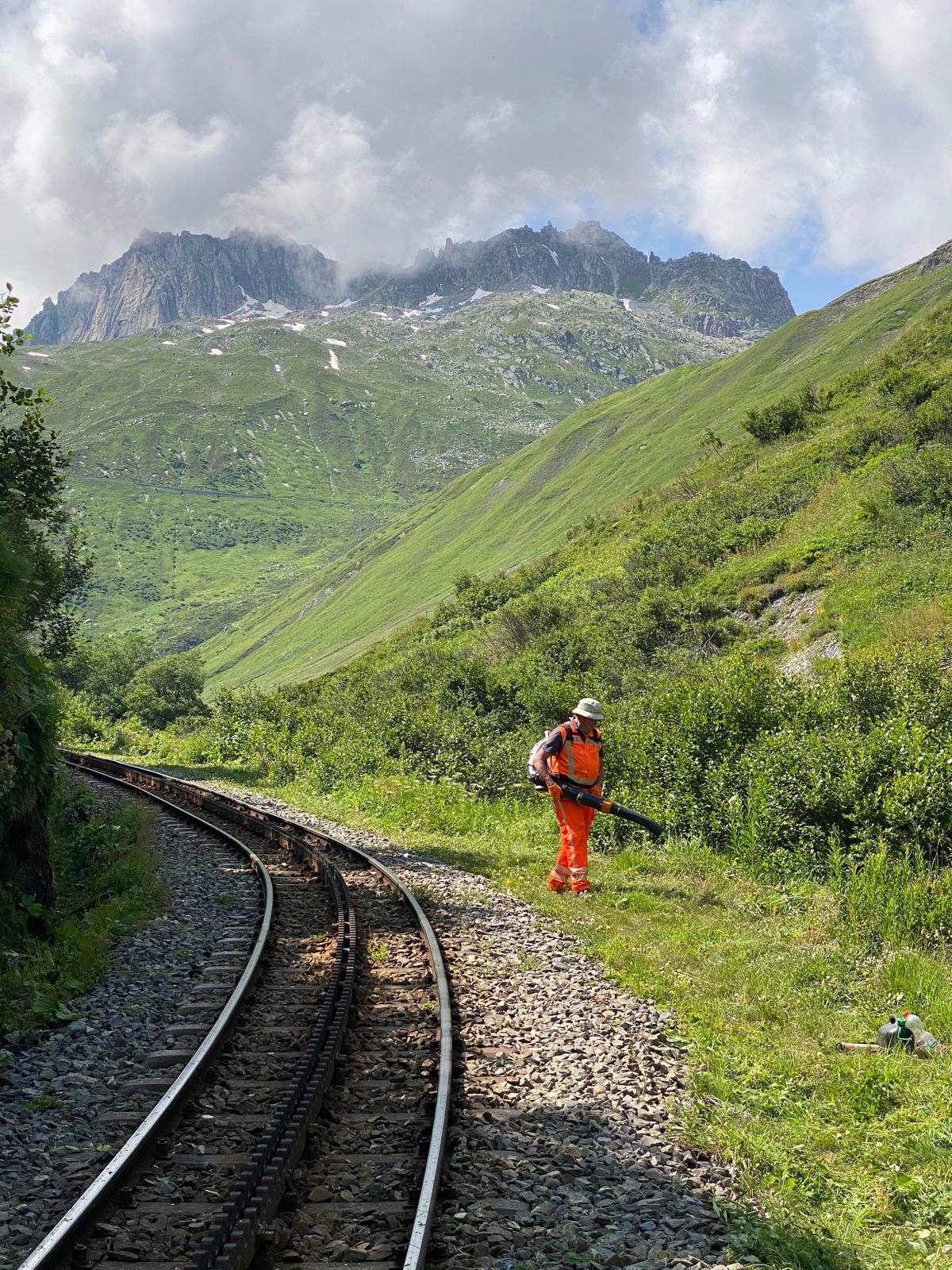 Werkweek 30-2024 – Theo en Cor sluiten zich aan bij de Vegetationsgruppe – dag 3