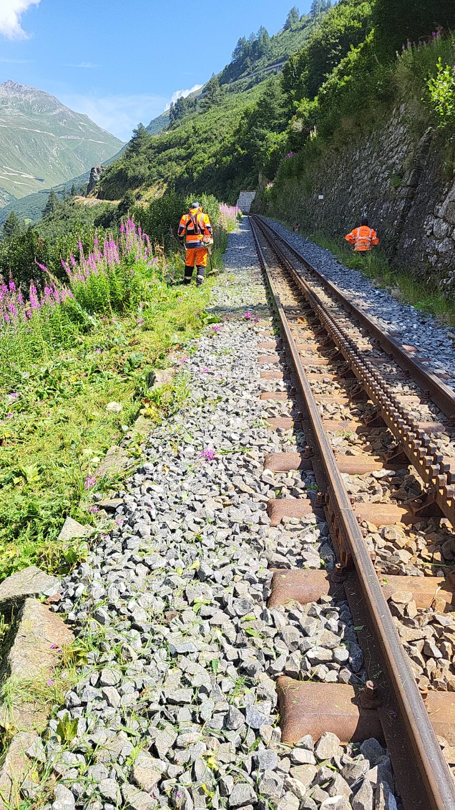 Werkweek 34-2024 woensdag 21 augustus 2024